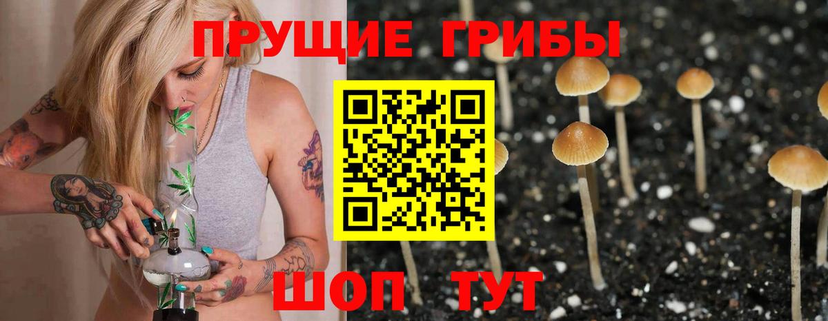 Краснокамск  Псилоцибиновые грибы MAGIC MUSHROOMS  Вход с VPN  Псилоцибиновые грибы ЛСД 